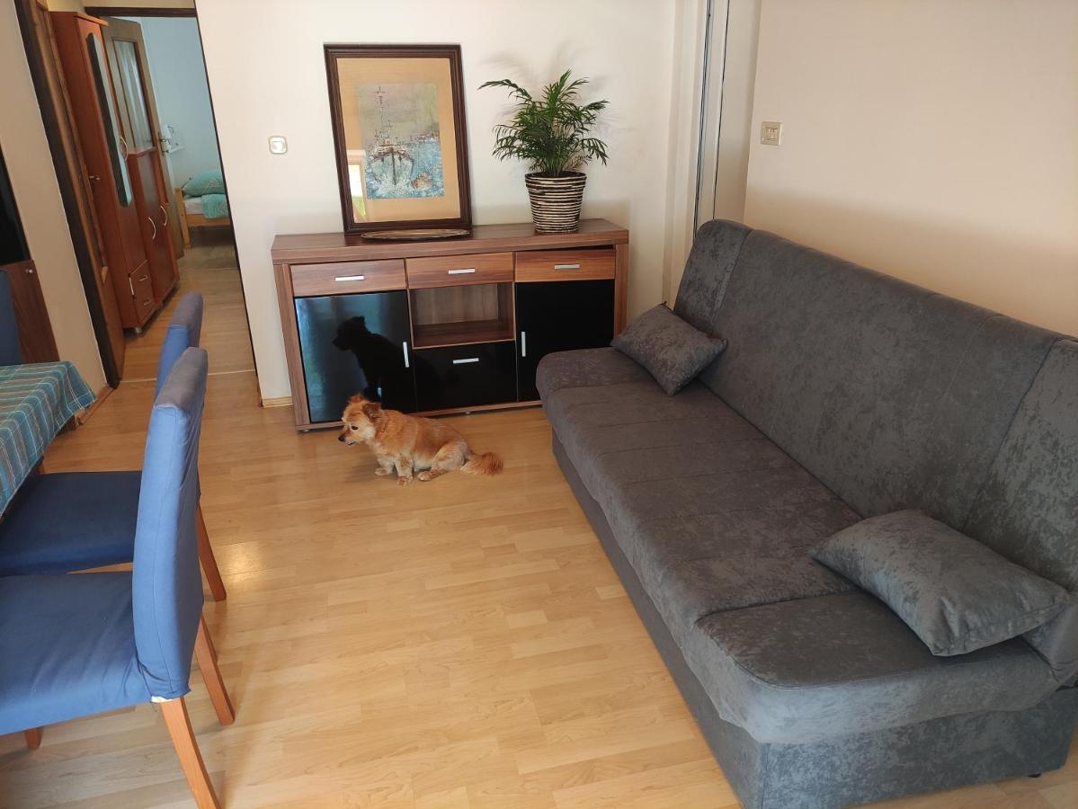 Apartment Valenta Poreč Kültér fotó